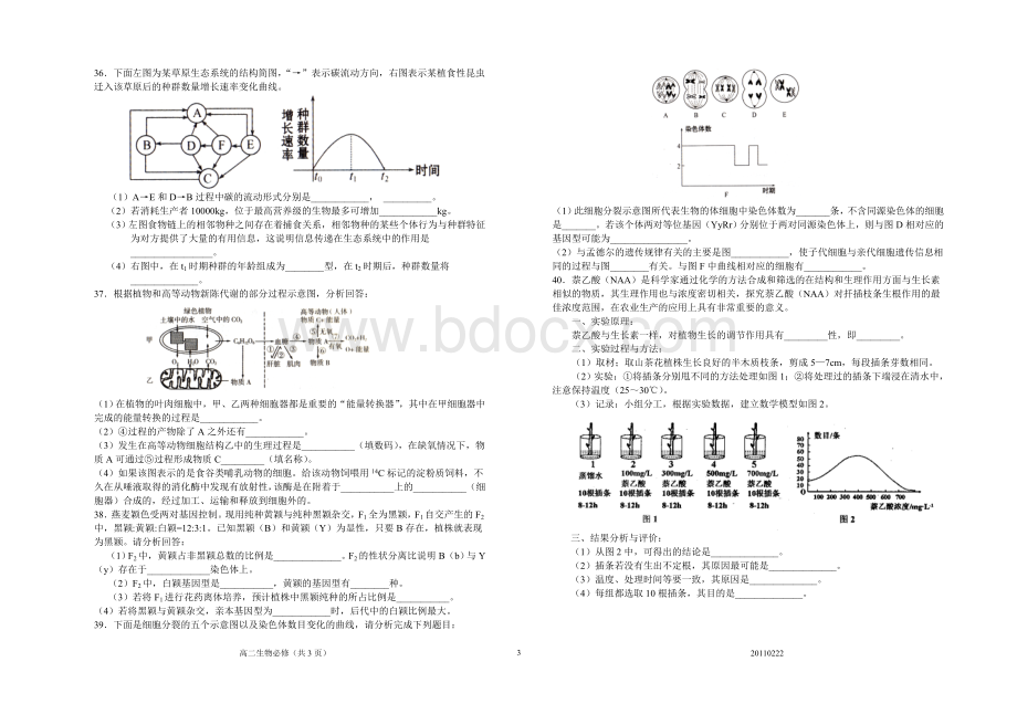 江苏省学业水平测试生物模拟试题(2)Word文件下载.doc_第3页