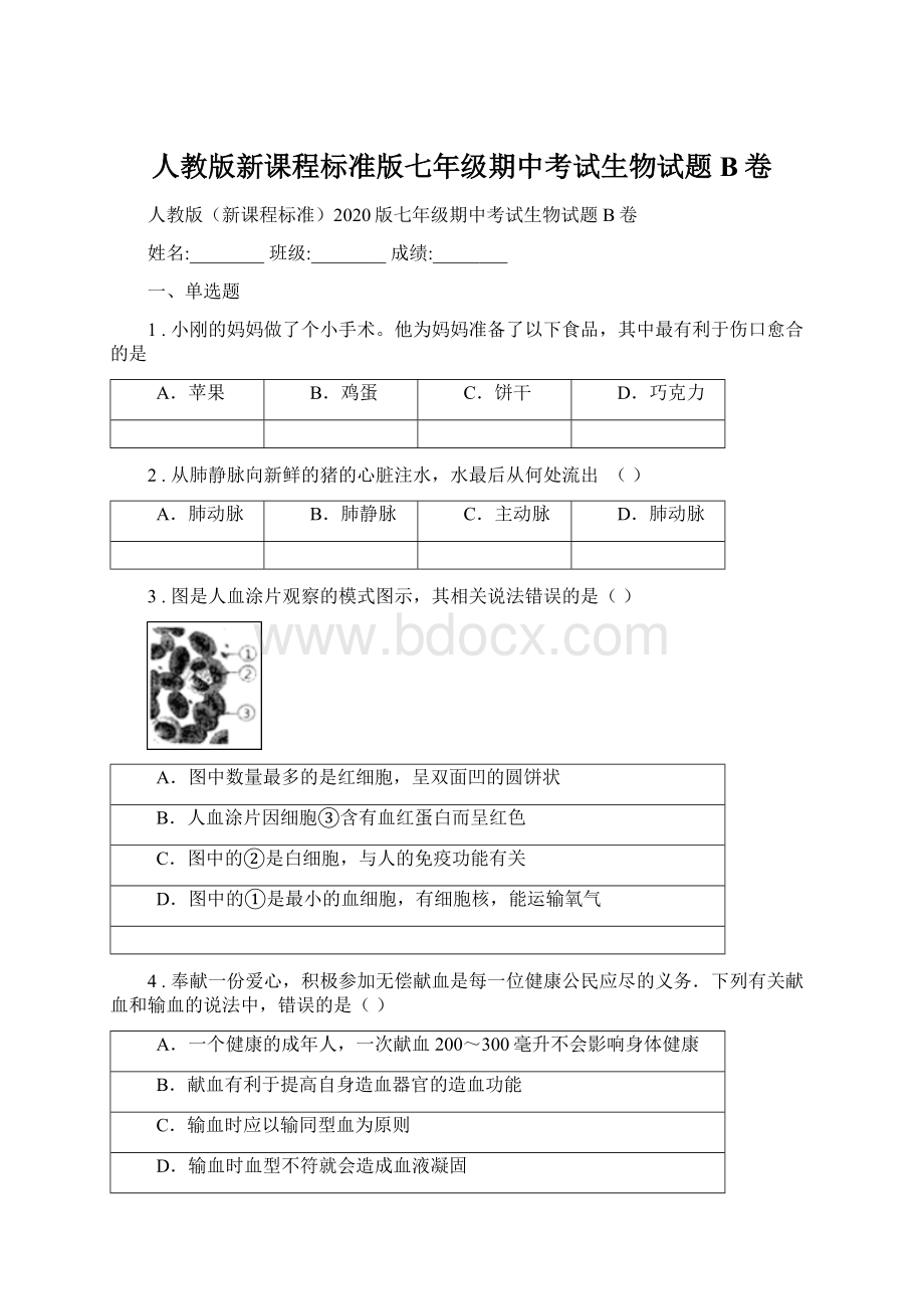 人教版新课程标准版七年级期中考试生物试题B卷Word下载.docx_第1页