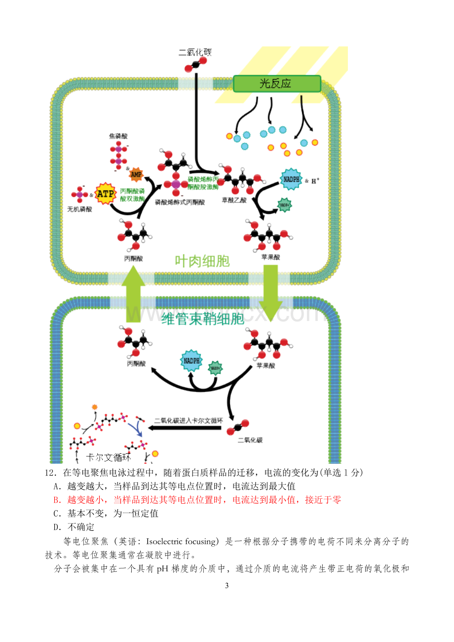 全国中学生生物学联赛试题超强解析版.doc_第3页