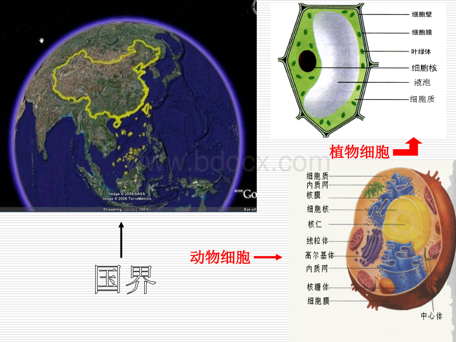 细胞膜系统的边界公开课PPT格式课件下载.ppt_第2页