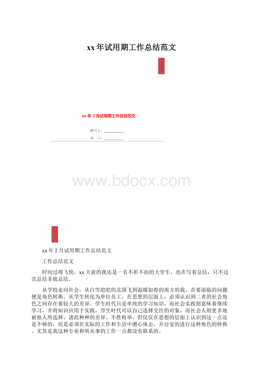 xx年试用期工作总结范文文档格式.docx