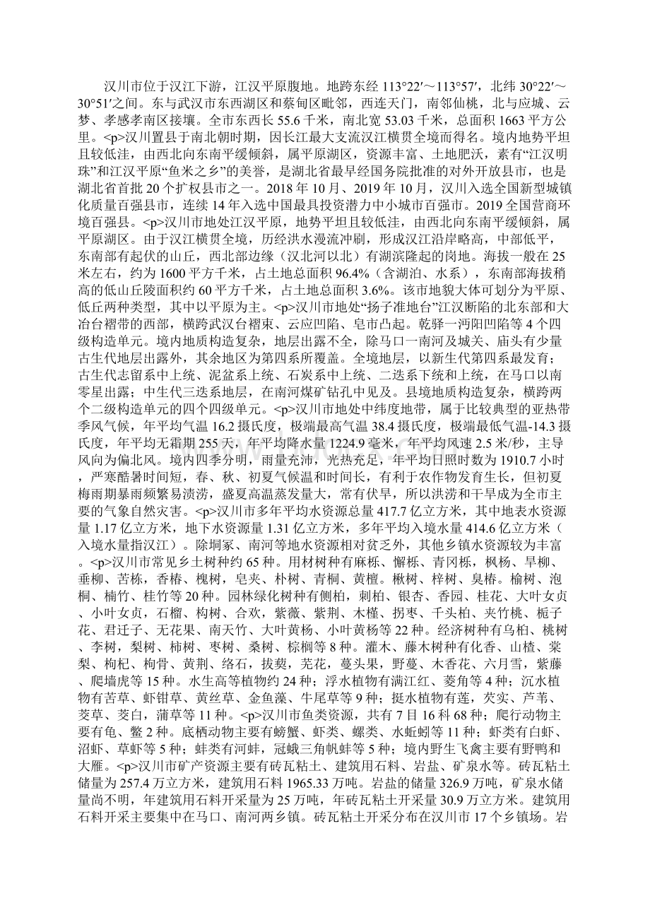 汉川工业项目实施方案.docx_第3页