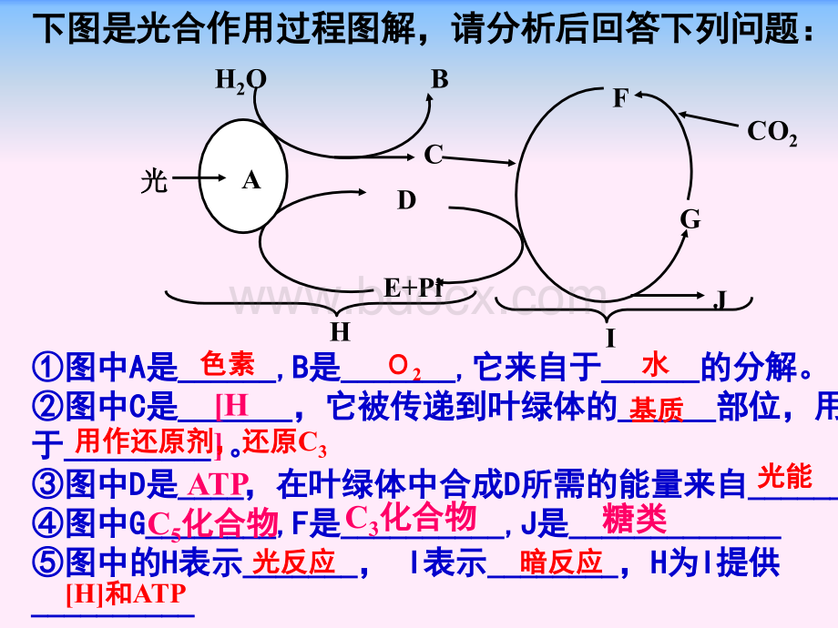 环境因素对光合作用强度的影响.ppt_第1页