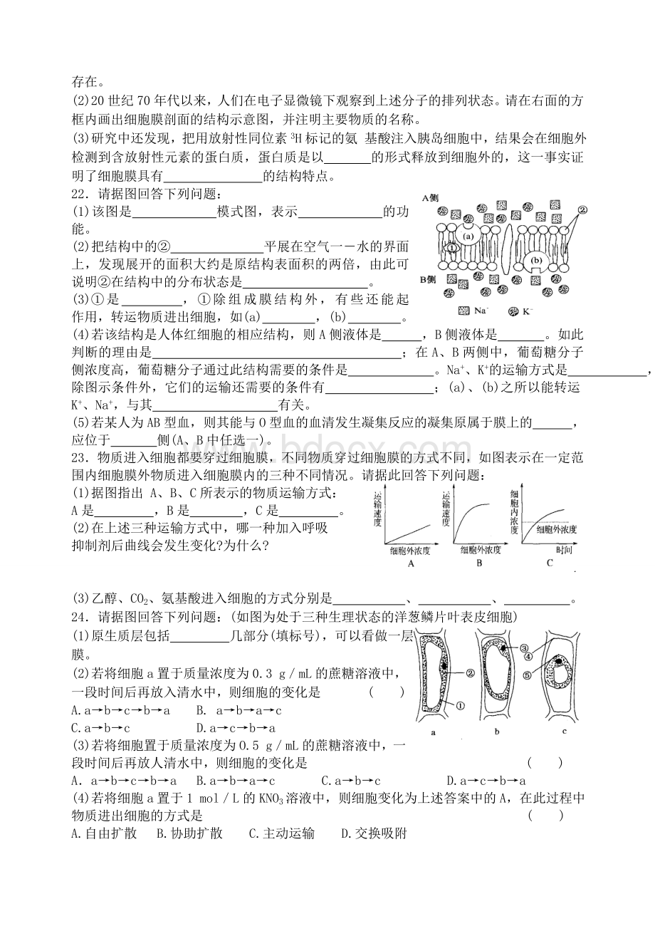 细胞的物质输入和输出练习题.doc_第3页