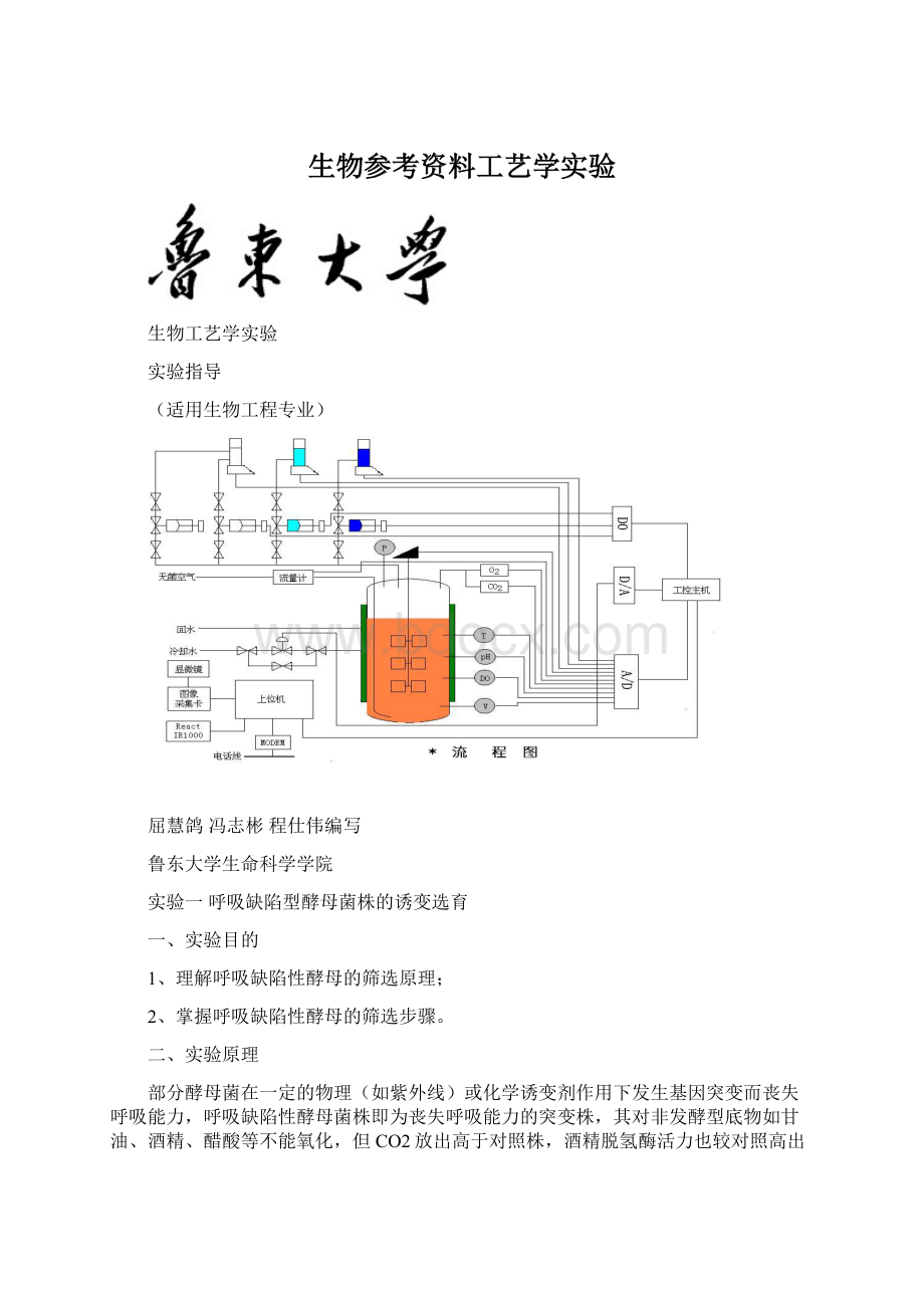 生物参考资料工艺学实验Word格式文档下载.docx_第1页