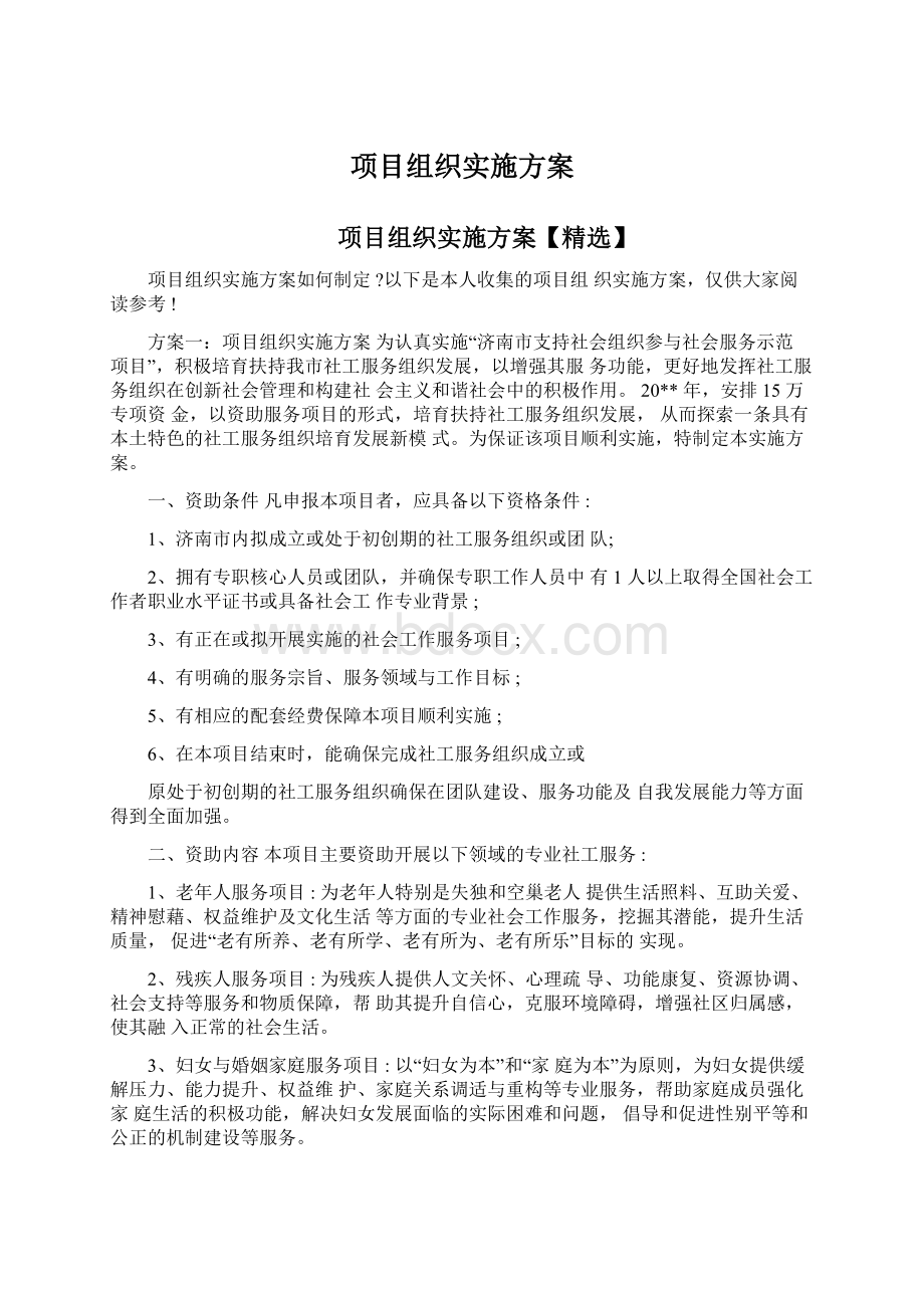 项目组织实施方案.docx