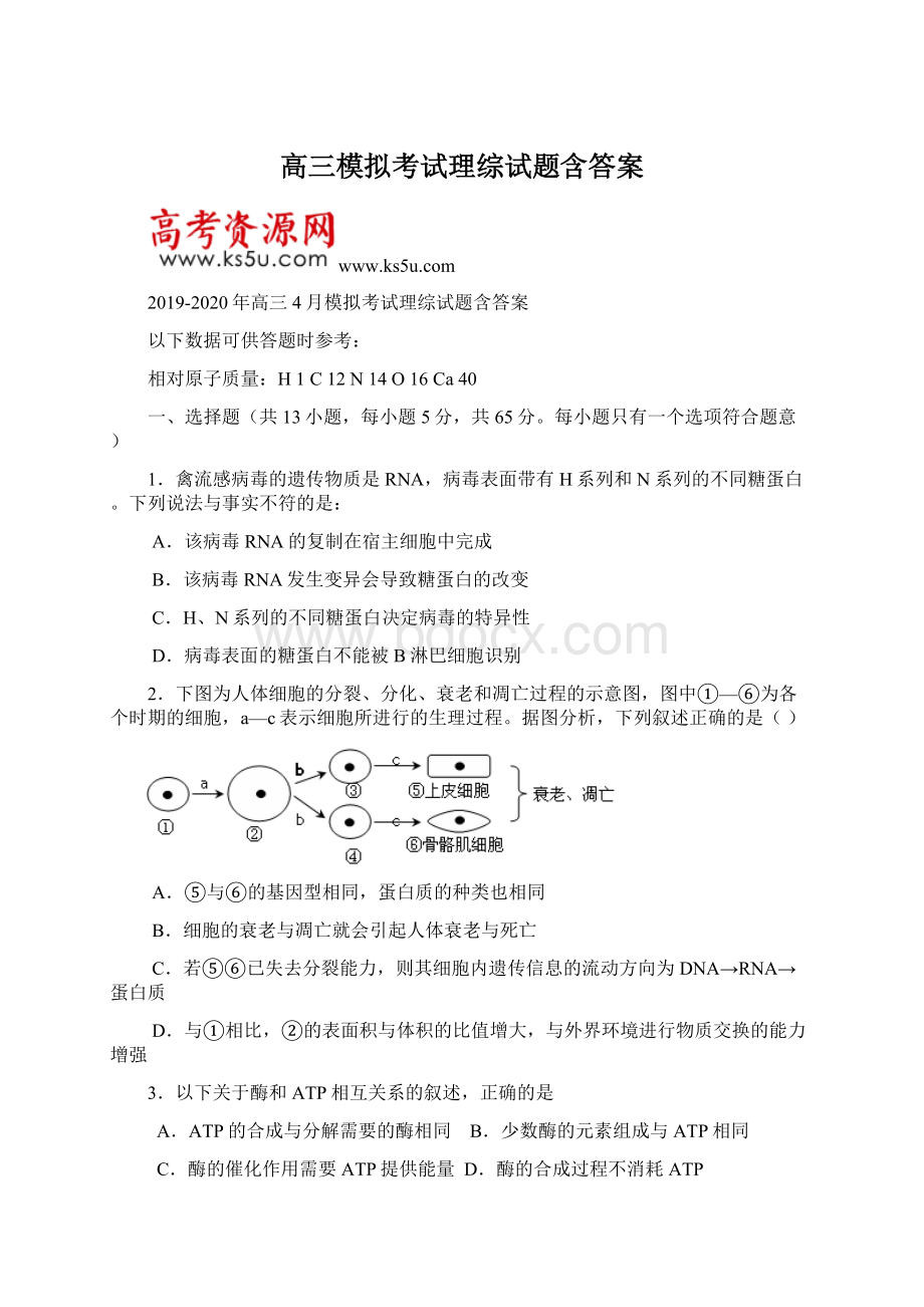 高三模拟考试理综试题含答案Word文档下载推荐.docx_第1页