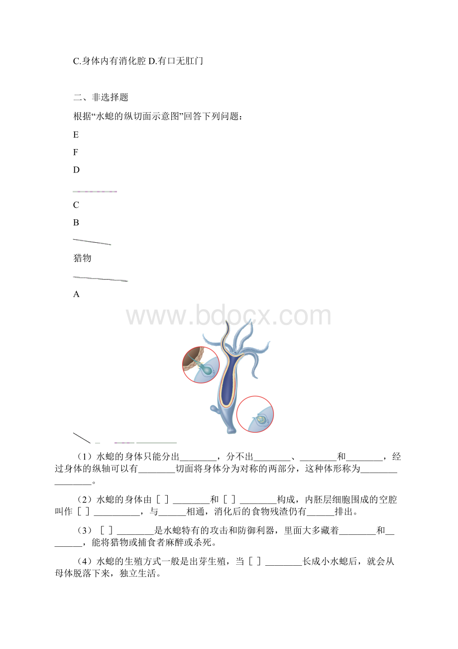 全新人教八年级上册生物课后训练题全册 共48页.docx_第3页