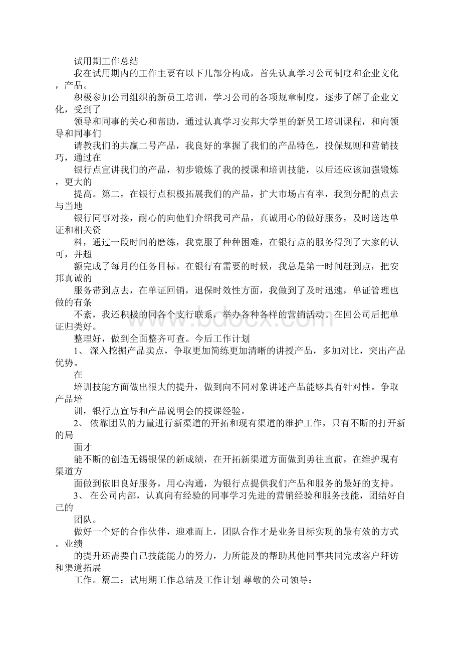 试用期工作总结及计划.docx_第2页