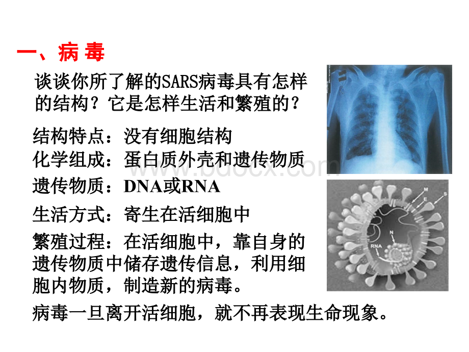 人教版高中生物必修一全套PPT.ppt_第3页