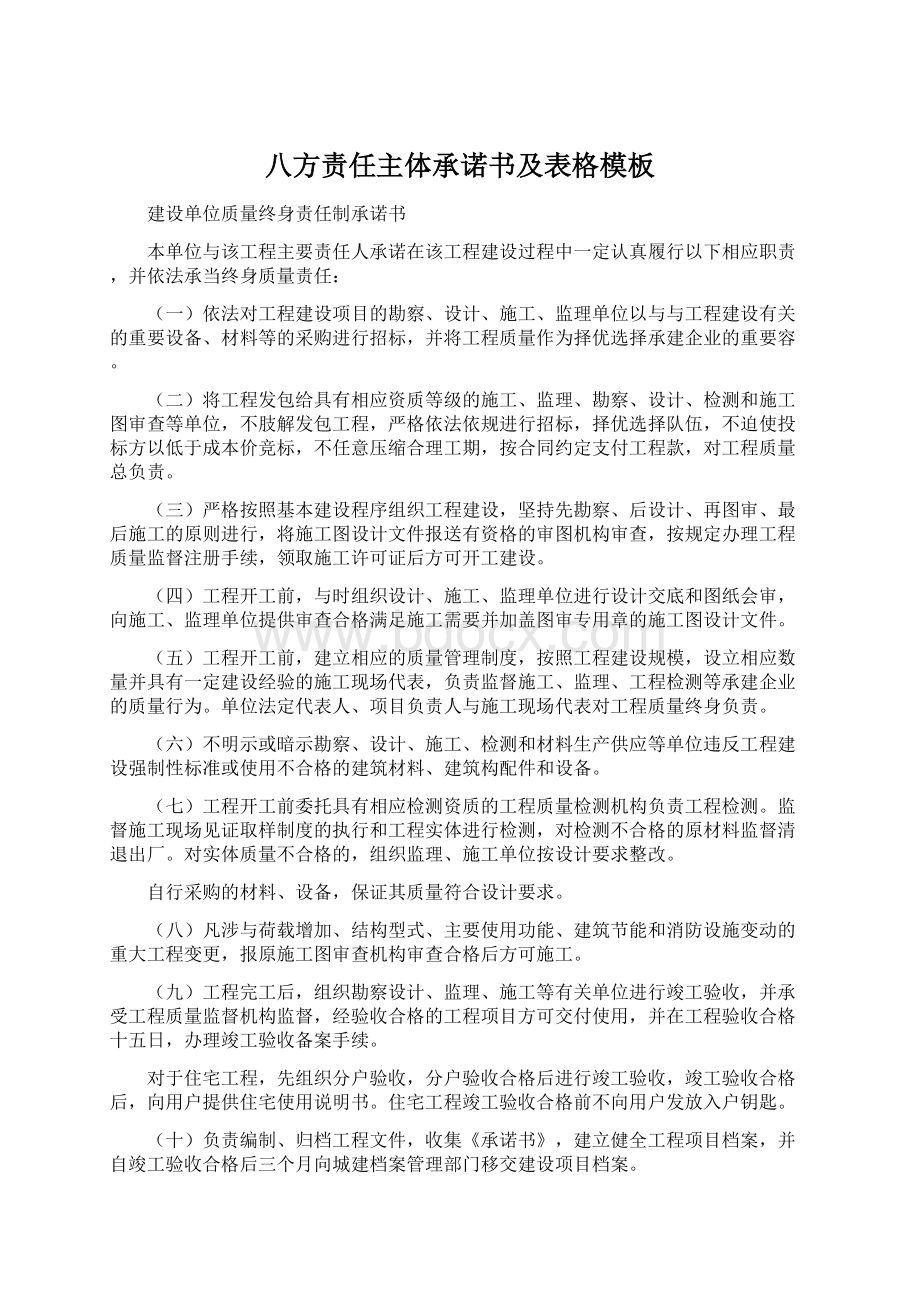 八方责任主体承诺书及表格模板Word文档格式.docx