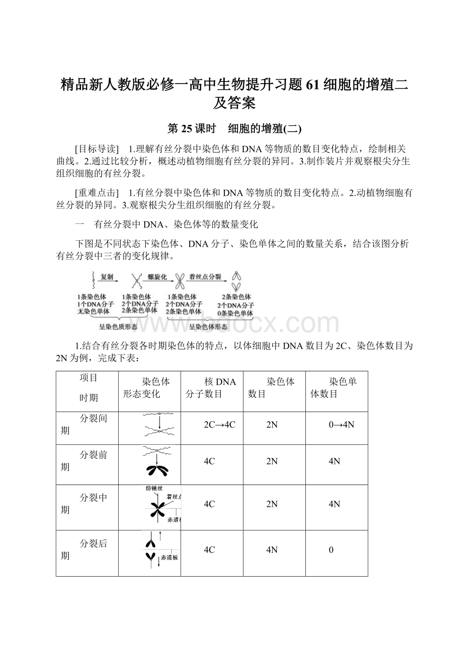 精品新人教版必修一高中生物提升习题61细胞的增殖二及答案文档格式.docx