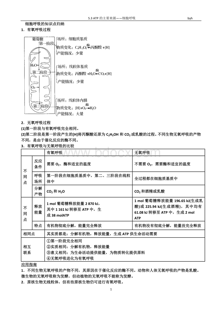 细胞呼吸的知识点归纳答案.doc_第1页