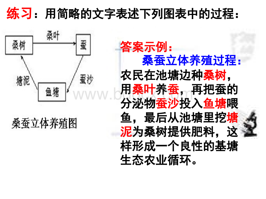 高考语言表达之图文转换之流程图方位图.ppt_第2页