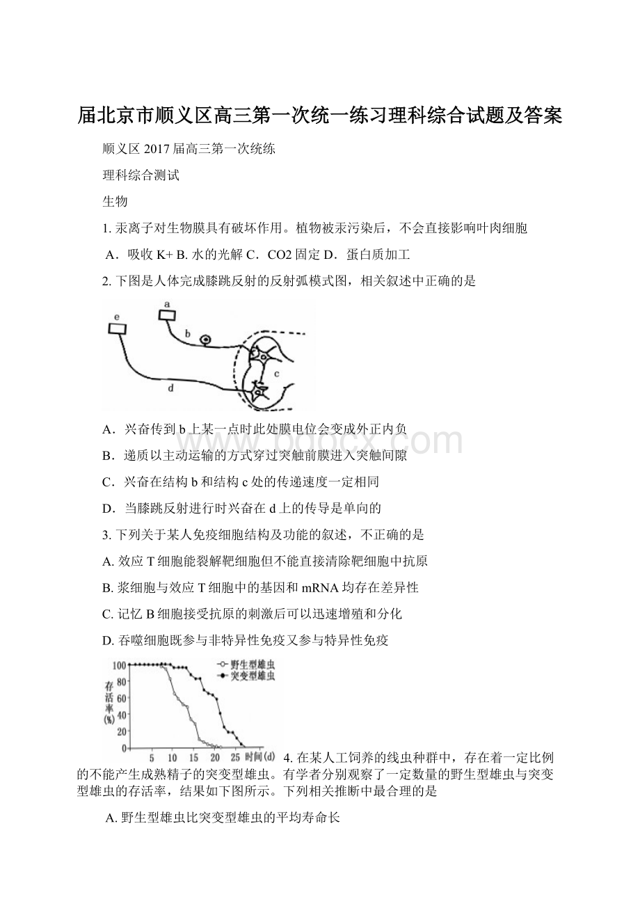 届北京市顺义区高三第一次统一练习理科综合试题及答案Word格式.docx