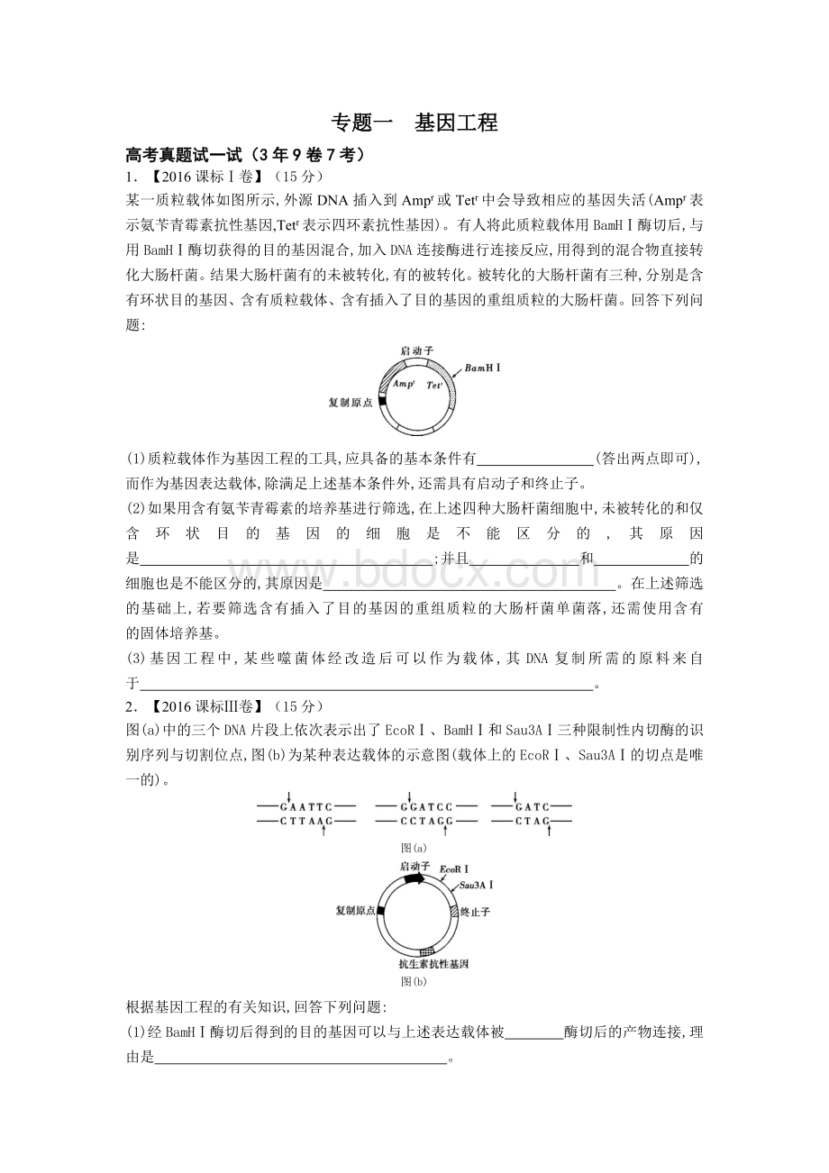 基因工程专题复习讲义文档格式.doc