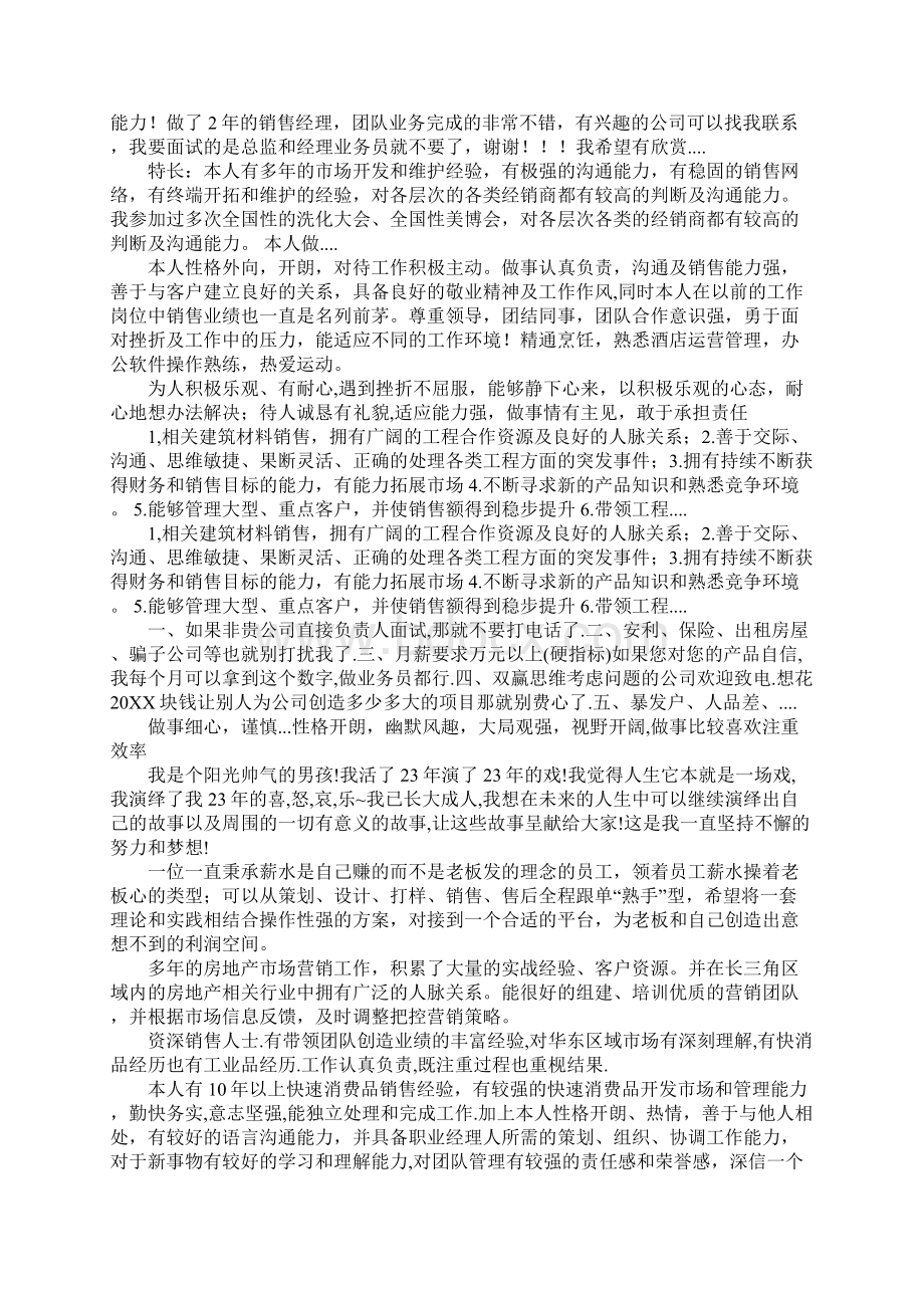 销售总监简历自我评价模板Word格式.docx_第2页