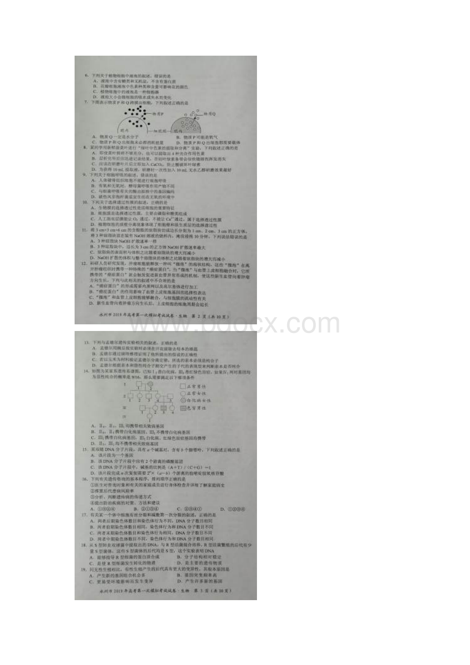 湖南省永州市届高三上学期第一次模拟考试生物试题+扫描版含答案.docx_第2页