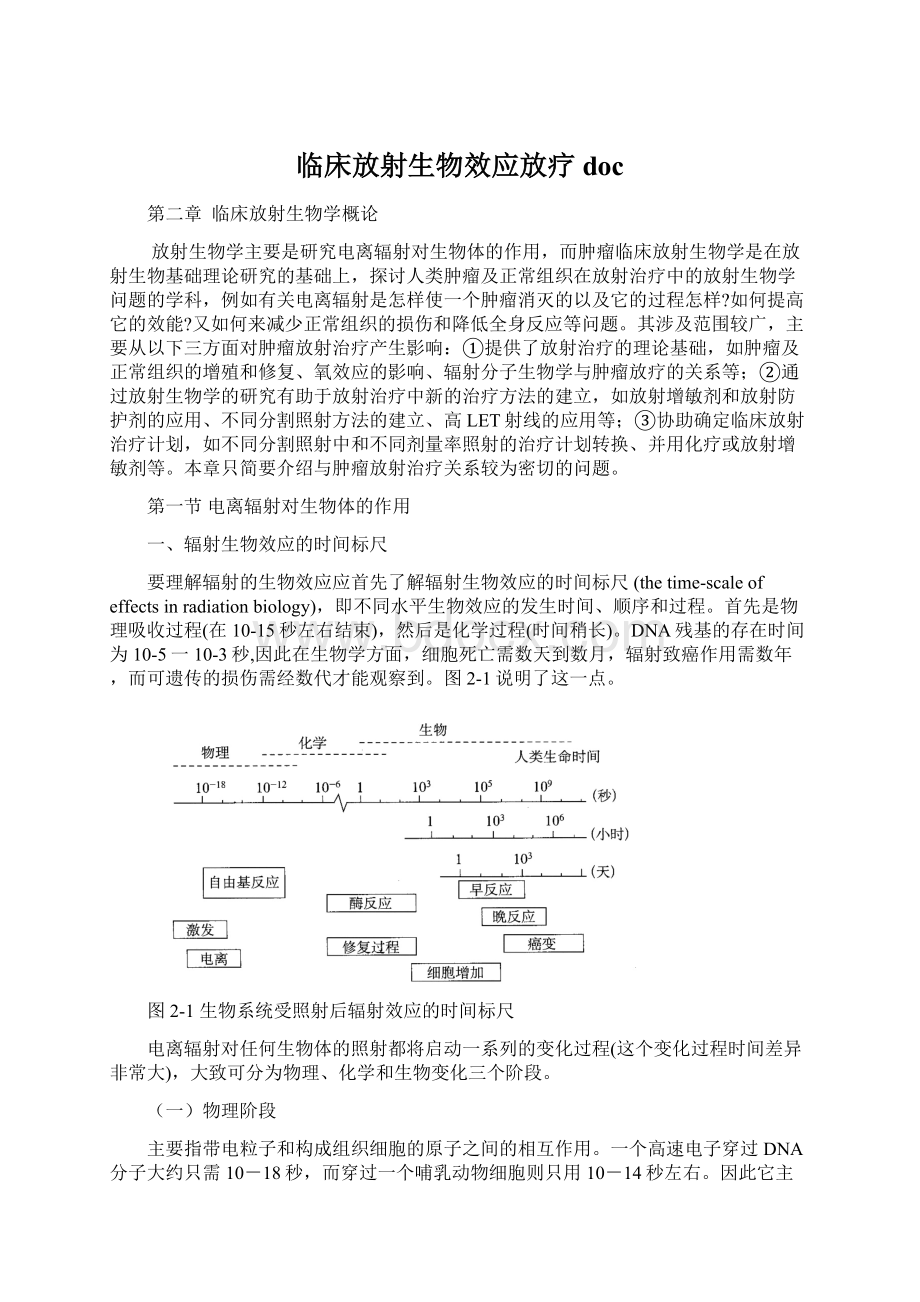 临床放射生物效应放疗doc.docx