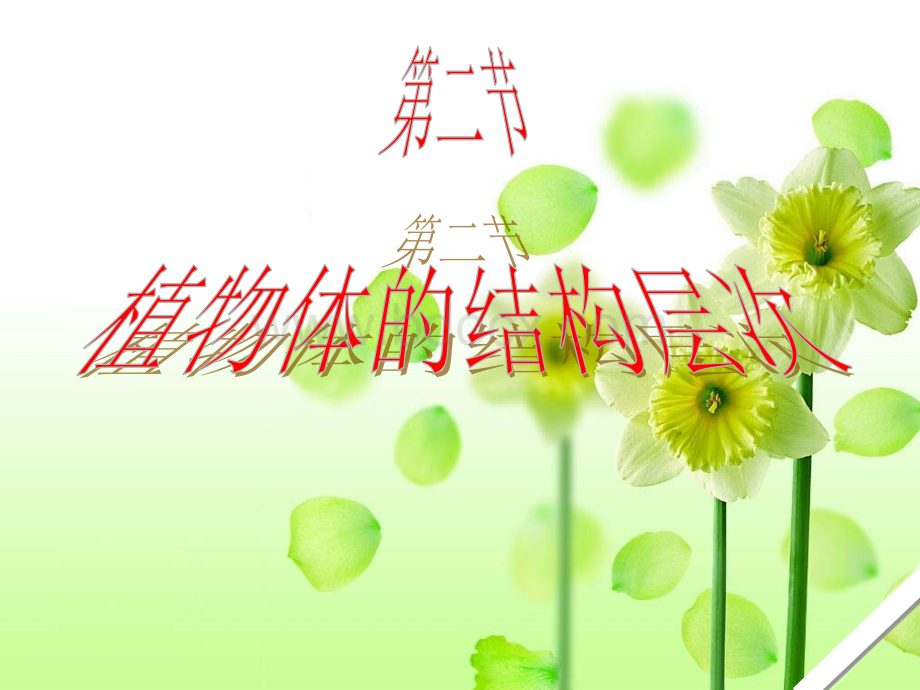 第三节《植物体的结构层次》(共45张PPT)PPT推荐.ppt