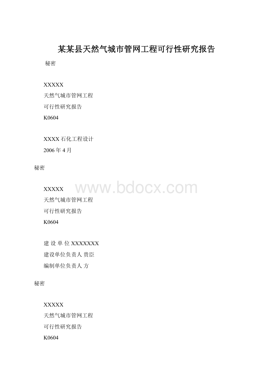 某某县天然气城市管网工程可行性研究报告.docx_第1页