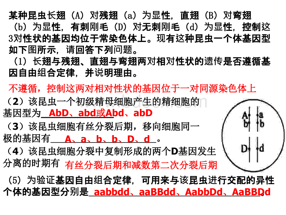 一、孟德尔的豌豆杂交实验(1)基因的分离定律(复习)PPT文档格式.ppt_第2页