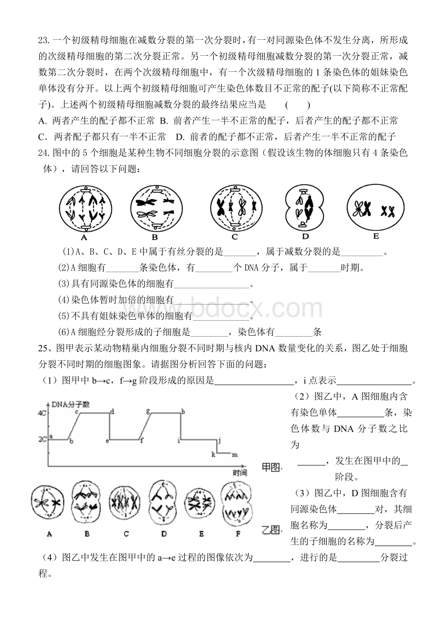 减数分裂受精作用练习题.doc_第3页