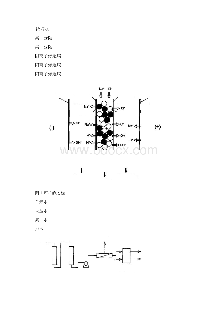 翻译论文电去离子工艺的研究roedi系统制备高纯水大学毕业设计论文.docx_第2页