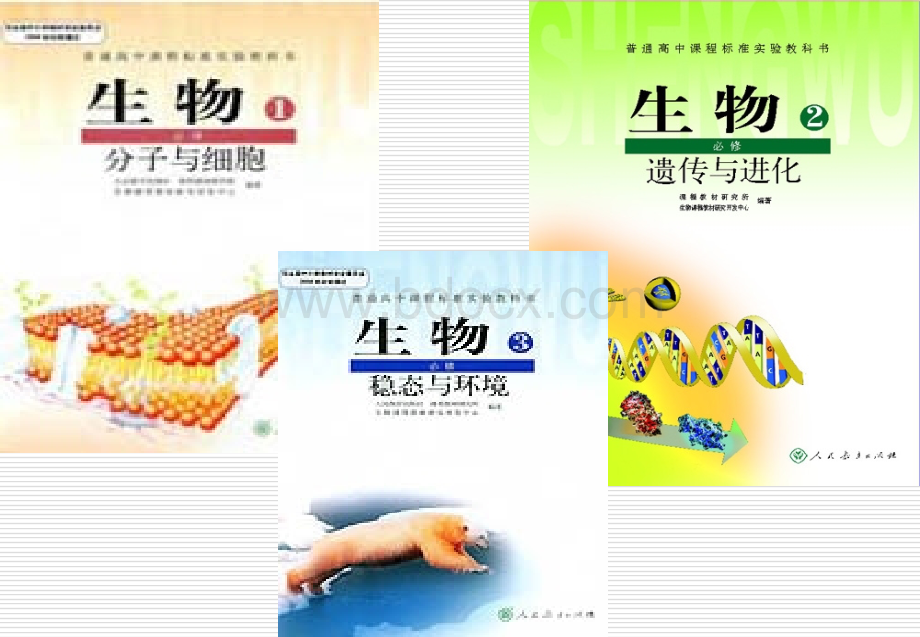 《人体的内环境》课件ppt1.ppt_第1页