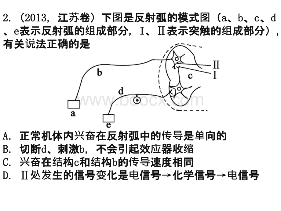 生物一轮复习神经调节PPT推荐.ppt_第3页