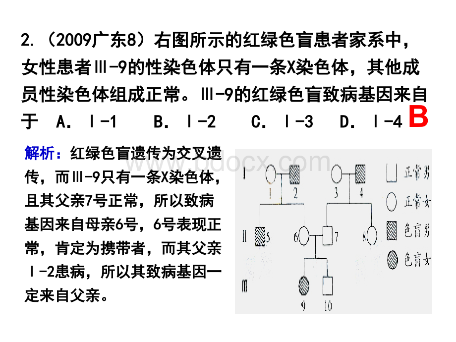 最近几年高考试题：伴性遗传PPT文件格式下载.ppt_第3页