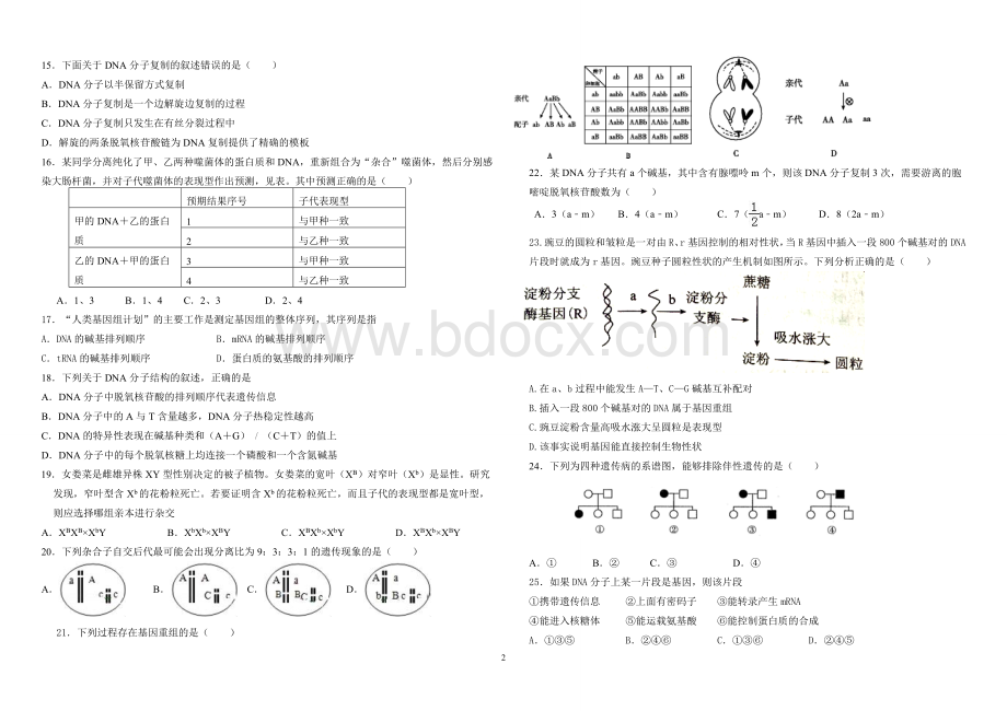 高中生物必修二期中试题Word格式.doc_第2页