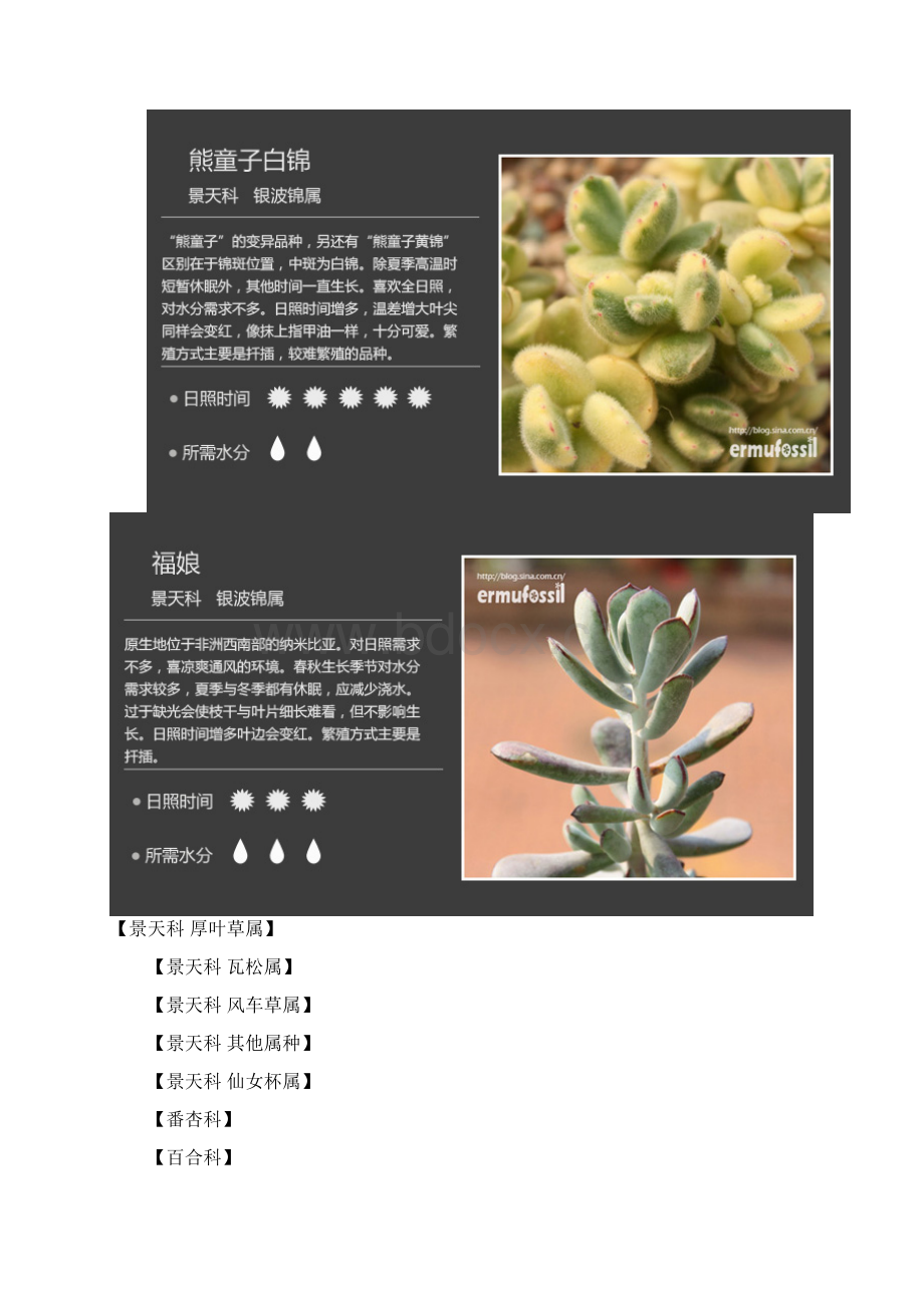 200种常见多肉植物图鉴之欧阳数创编Word格式.docx_第2页