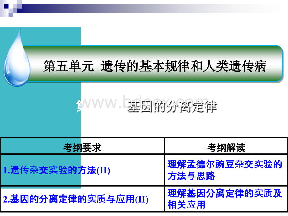 高三一轮复习：基因的分离定律优质PPT.ppt_第1页