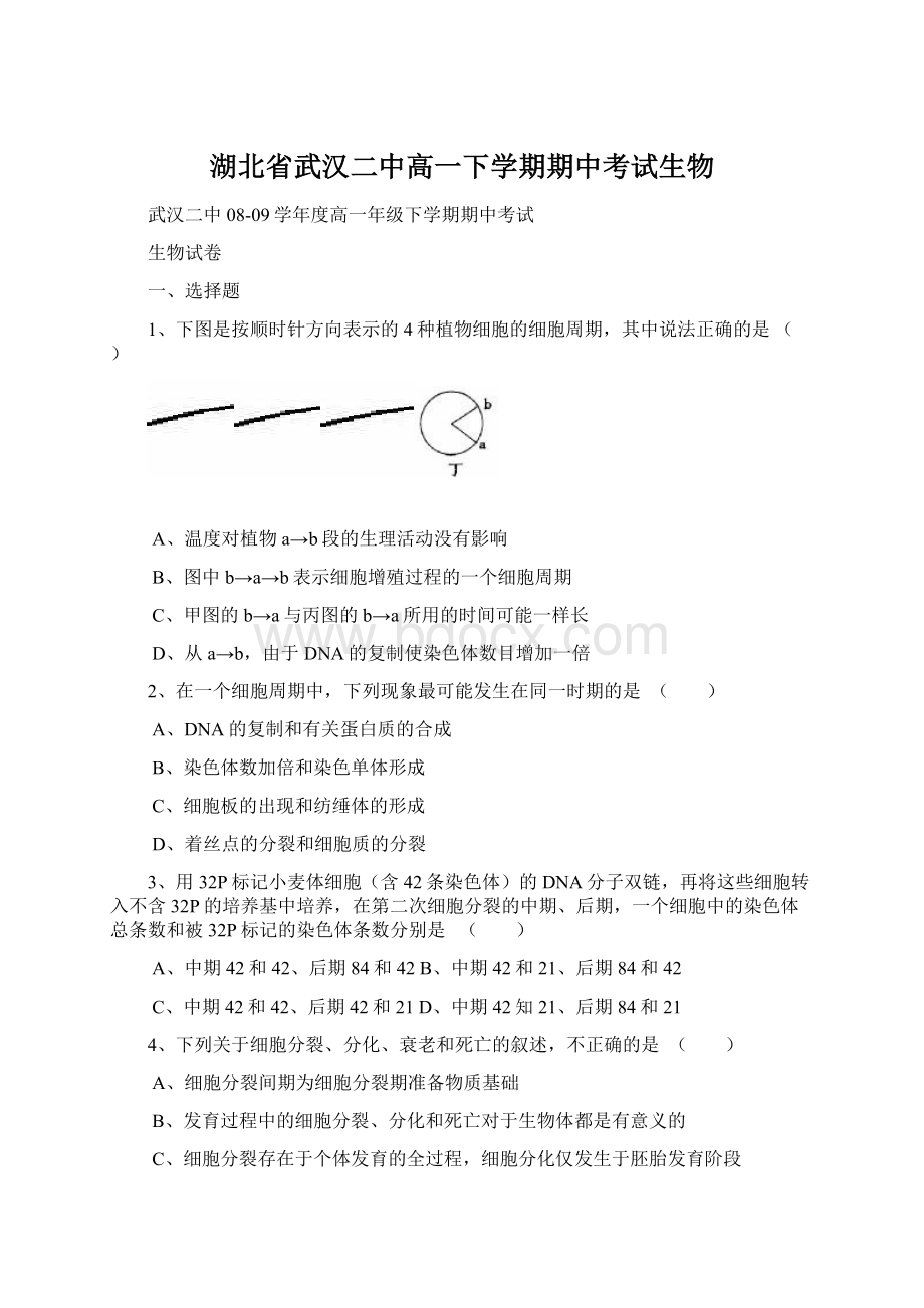 湖北省武汉二中高一下学期期中考试生物Word格式文档下载.docx_第1页