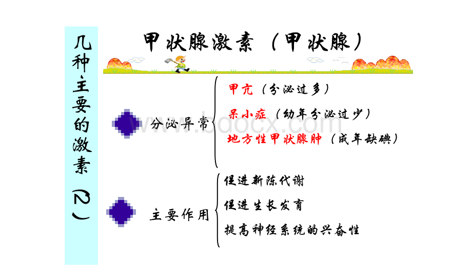 激素本质及功能.ppt_第2页