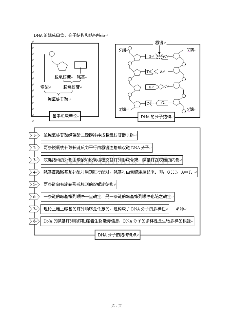 高三生物一轮复习知识结构网络文档格式.doc_第2页