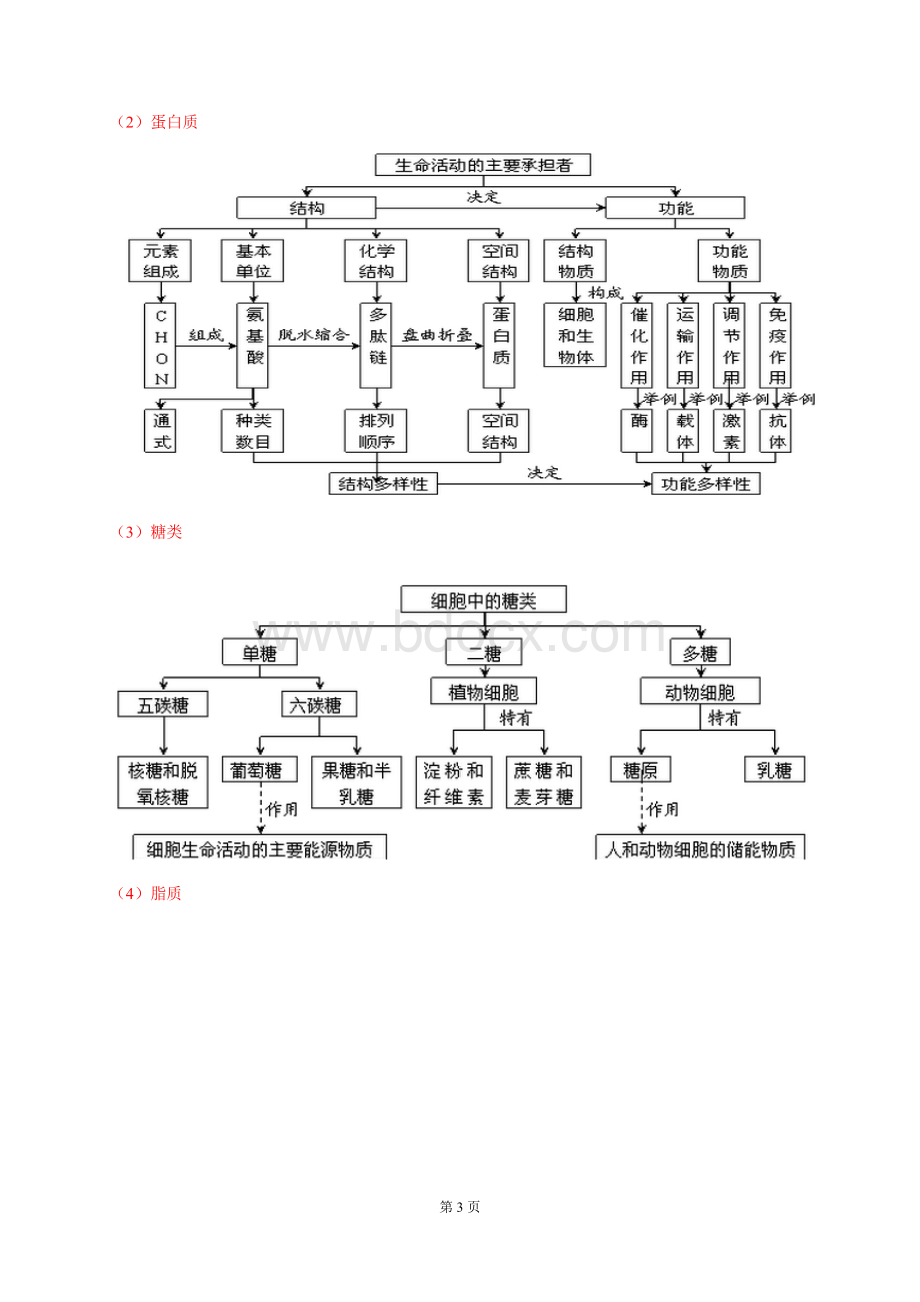 高三生物一轮复习知识结构网络.doc_第3页