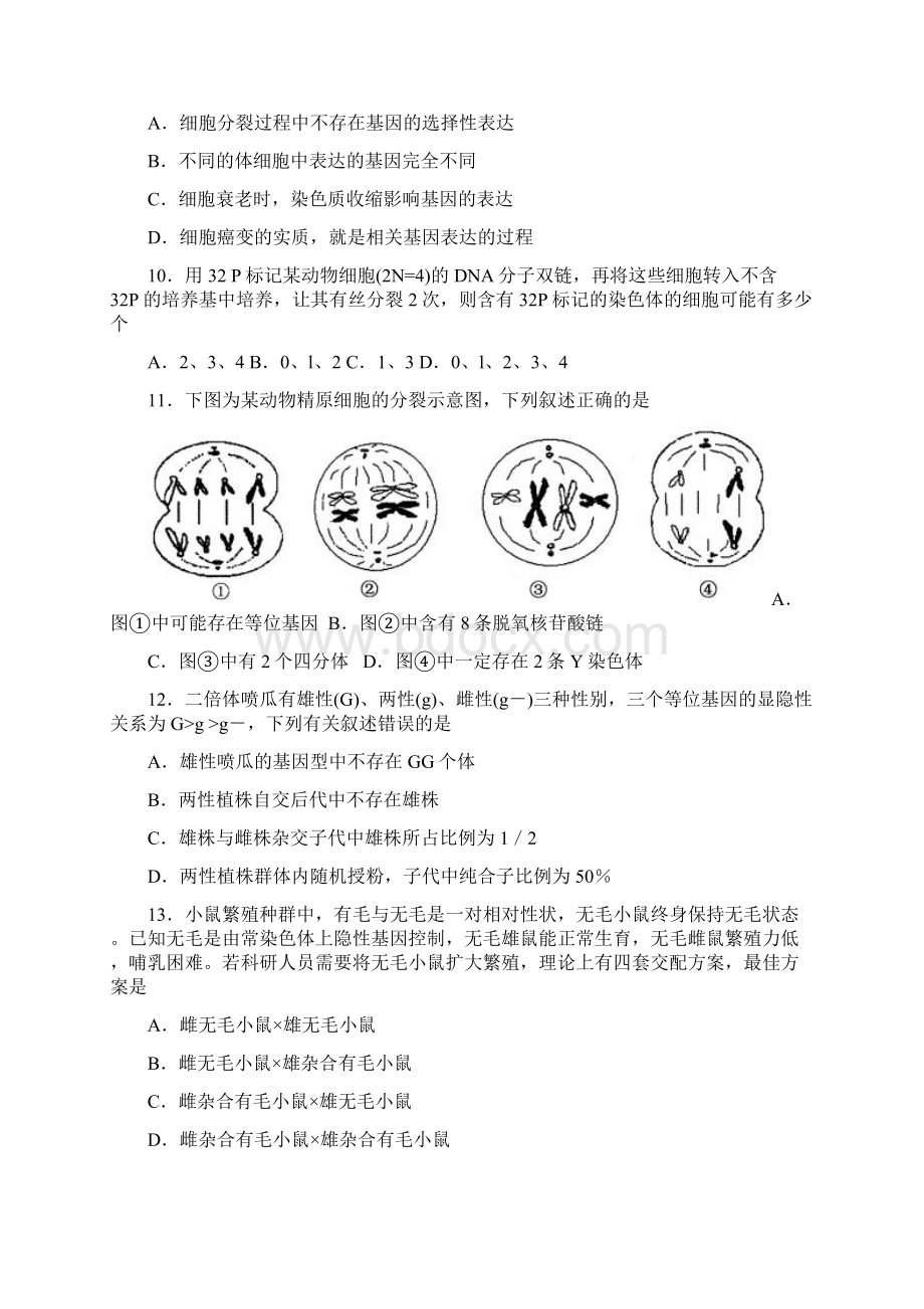 山东省济宁市届高三上学期期末模拟考试生物试题有答案.docx_第3页