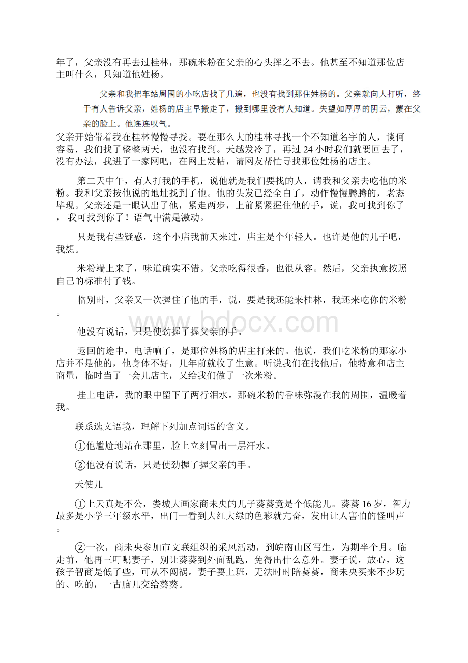 届中考语文知识点复习考试题18.docx_第2页