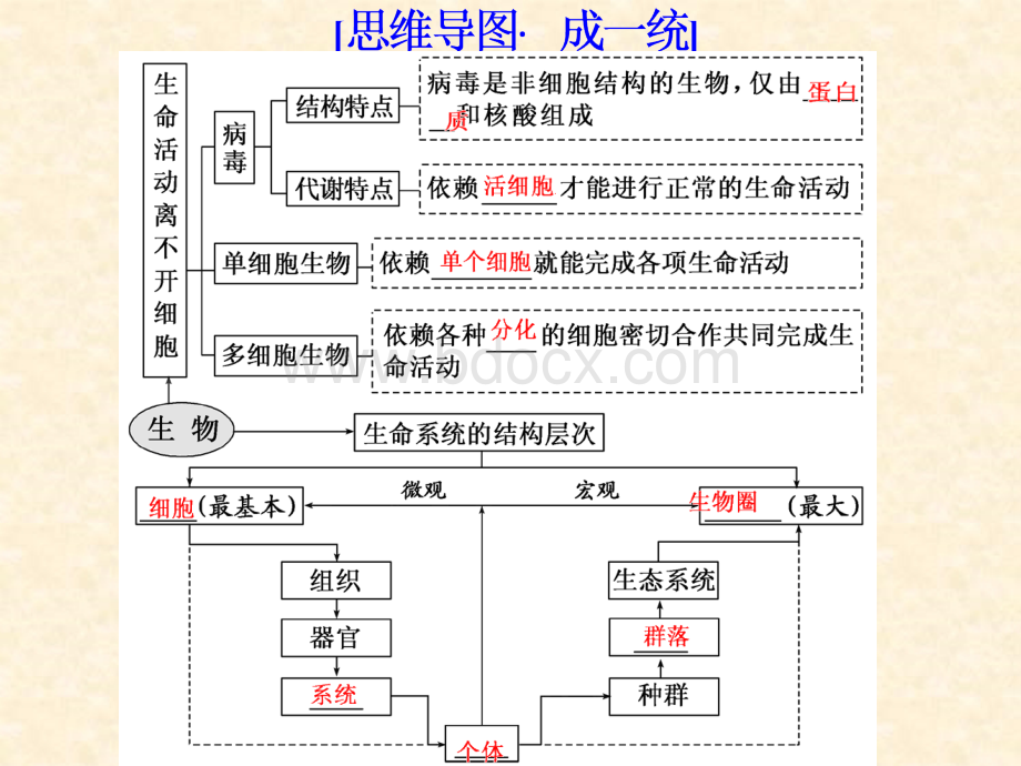 暑期高中生物专题一.ppt_第3页