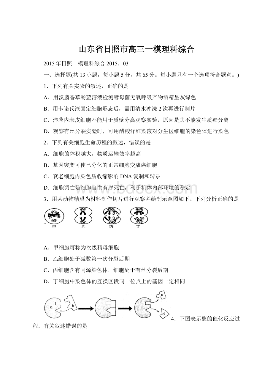 山东省日照市高三一模理科综合.docx