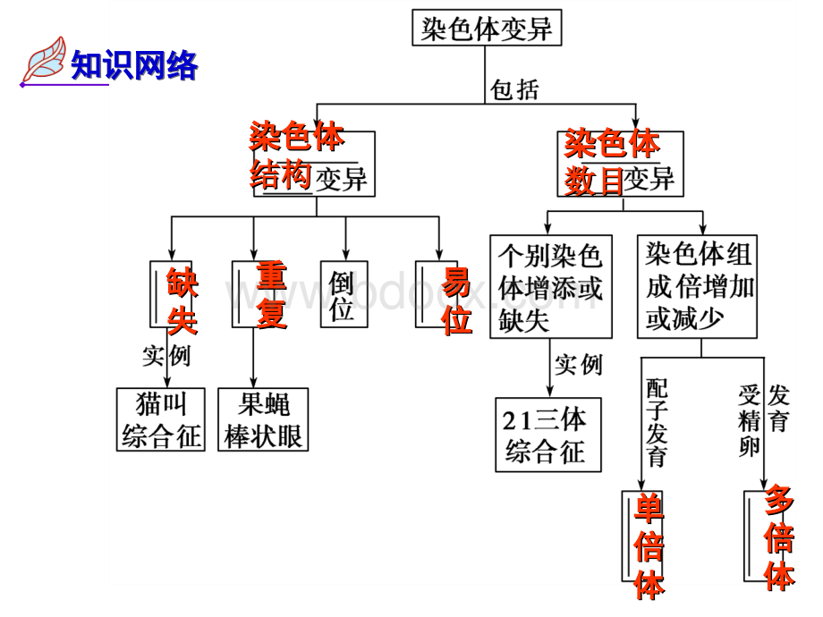 2019染色体变异一轮复习课件.ppt_第2页