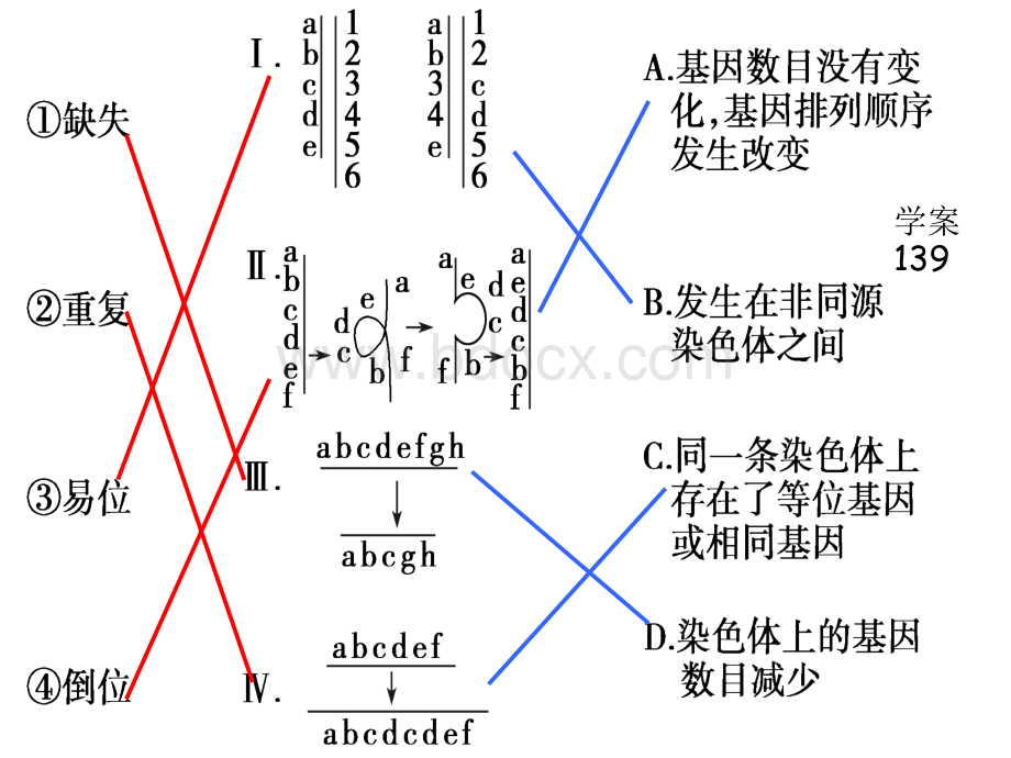 2019染色体变异一轮复习课件.ppt_第3页