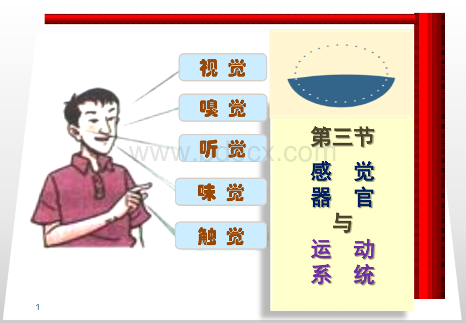 第1章学前儿童的解剖生理与卫生保健.ppt_第1页