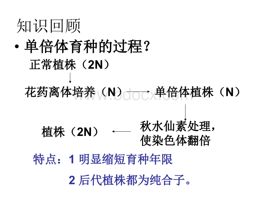 月季花药培养(公开课).ppt_第3页