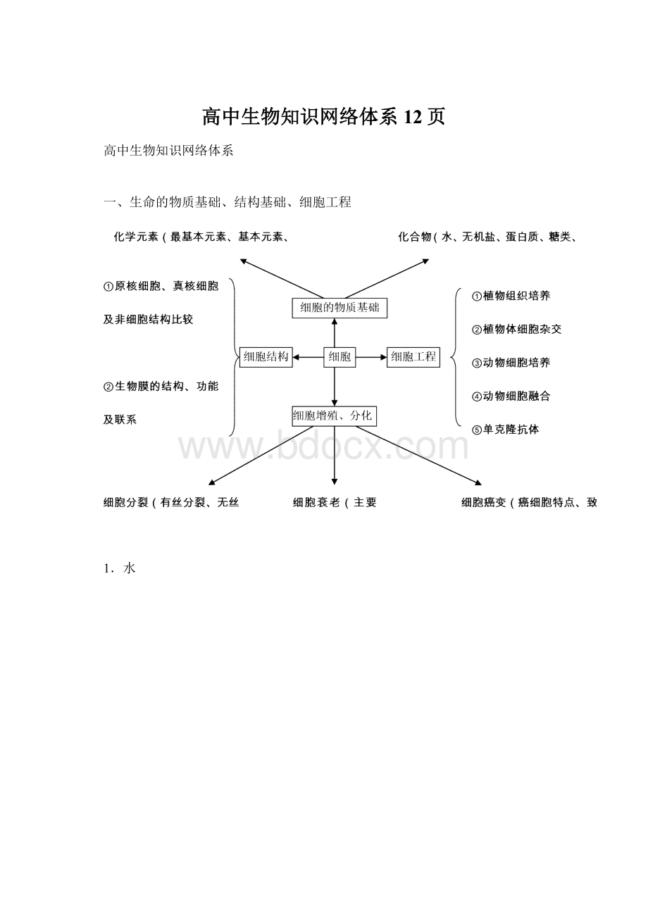 高中生物知识网络体系12页Word文件下载.docx_第1页