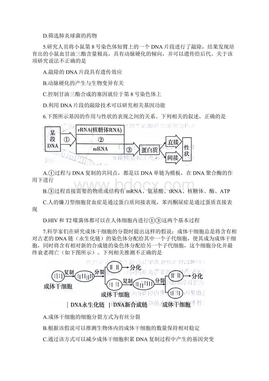 学年山东省烟台市高二上学期期末考试生物试题 Word版Word下载.docx_第2页