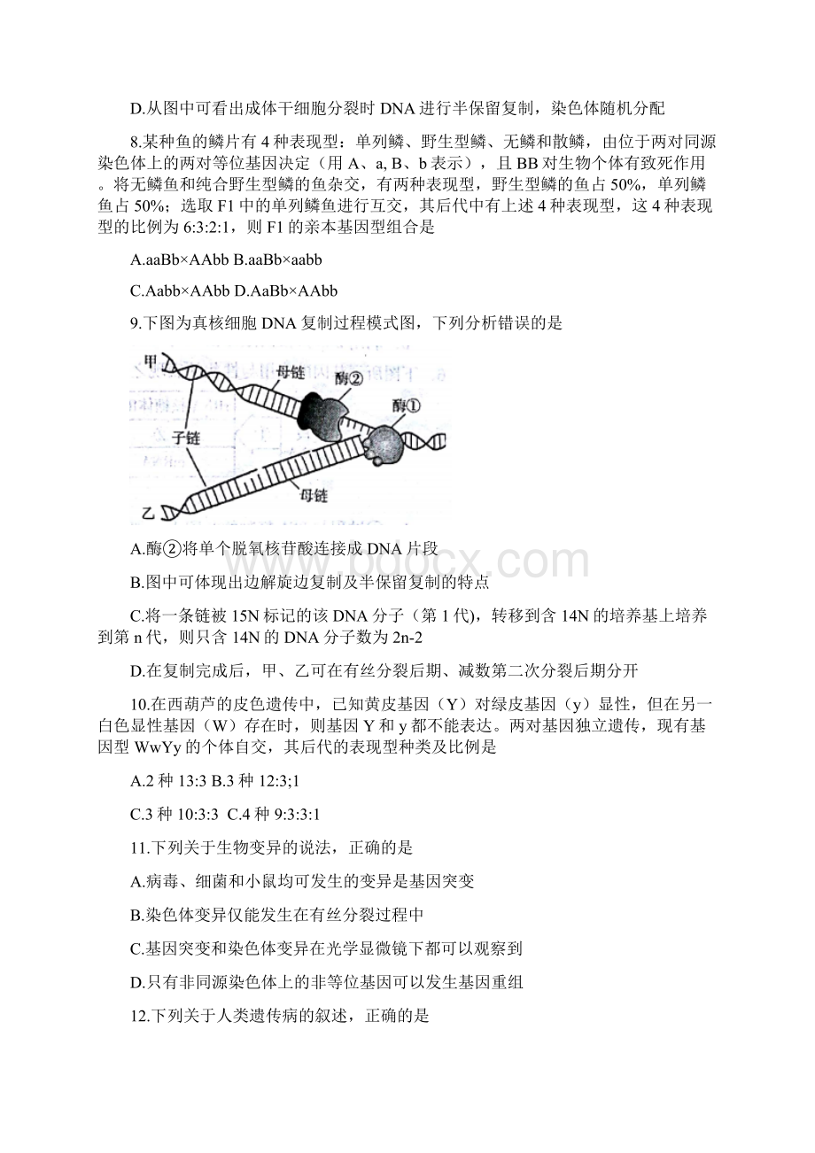 学年山东省烟台市高二上学期期末考试生物试题 Word版.docx_第3页