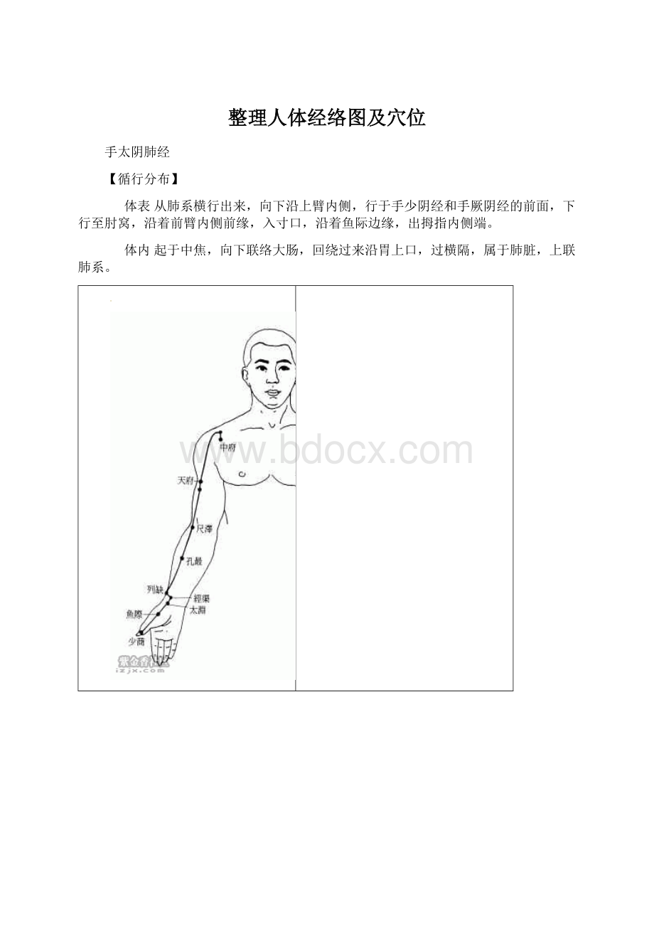 整理人体经络图及穴位.docx